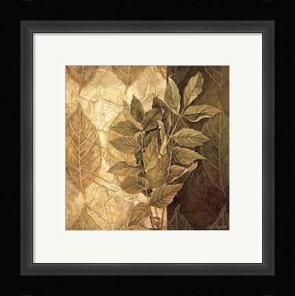 Framed Leaf Patterns IV Print