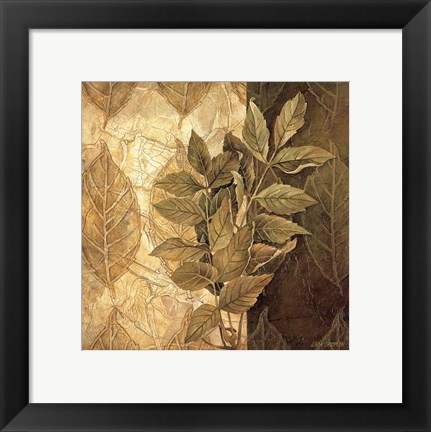 Framed Leaf Patterns IV Print