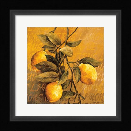 Framed Lemon Branch Print