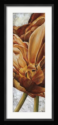 Framed Floral I Print