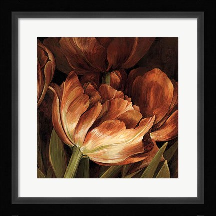 Framed Color Harmony II Print