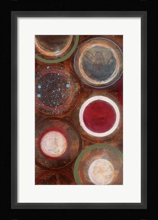Framed Nature's Spheres II Print