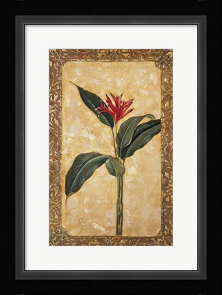 Framed Tropical Daydream II Print