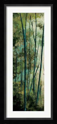 Framed La Senda I Print