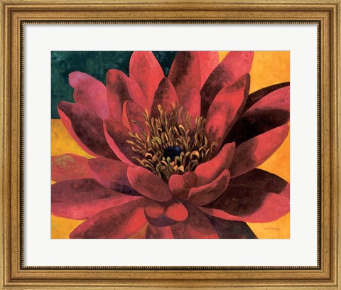 Framed Red Water Lily Print