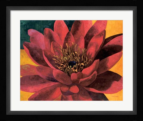 Framed Red Water Lily Print