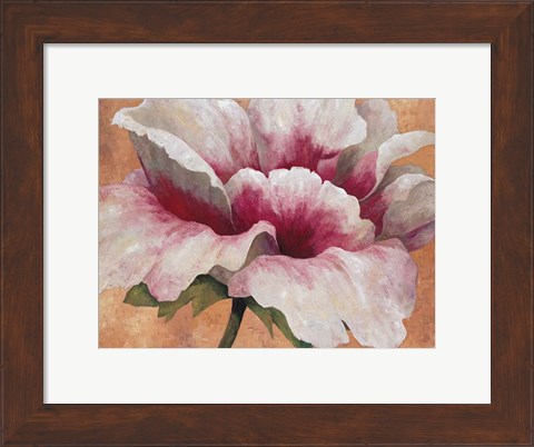 Framed Pink Begonia Print