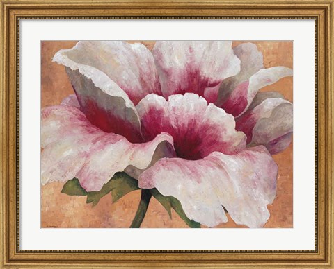 Framed Pink Begonia Print