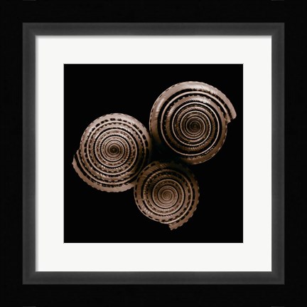 Framed Sundials Print