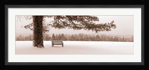 Framed First Snow II Print