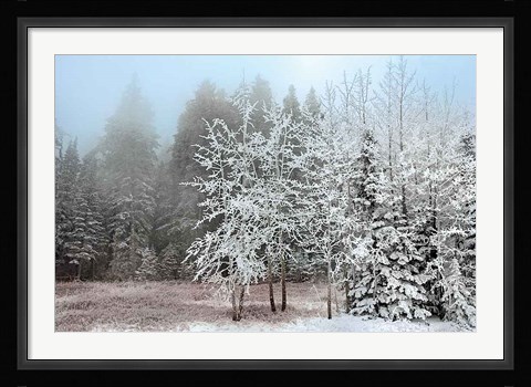 Framed Frosty Morning Print