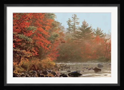Framed Foggy River Print