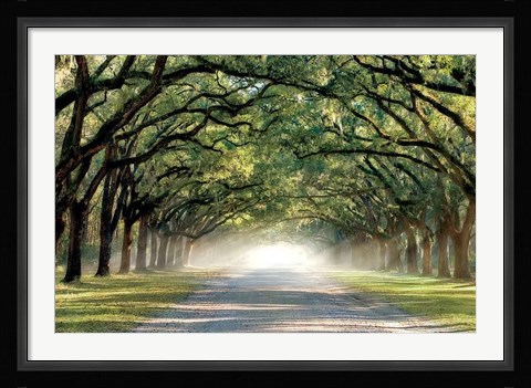 Framed Hope And Glory Print