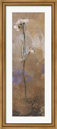 Framed Flowers Of June Series II Print