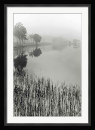 Framed Lakeside Mist Print