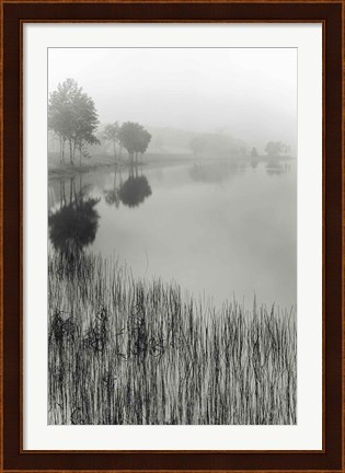 Framed Lakeside Mist Print