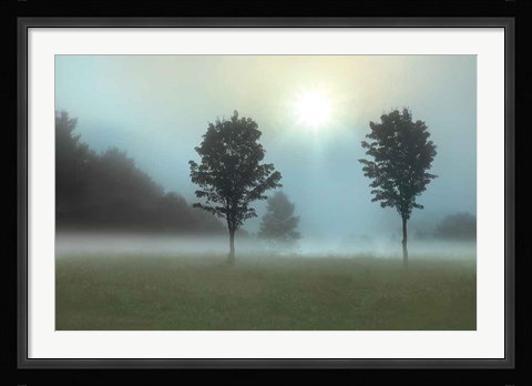 Framed Two Tress &amp; Sunburst Print