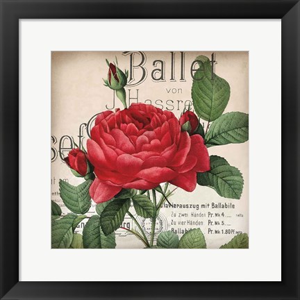 Framed Scent of a Rose I Print