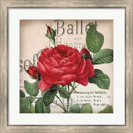 Framed Scent of a Rose I Print