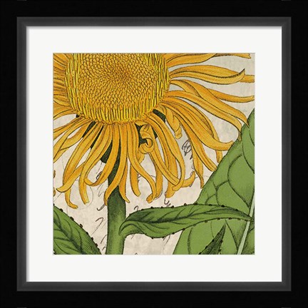Framed Joyful Bloom I Print