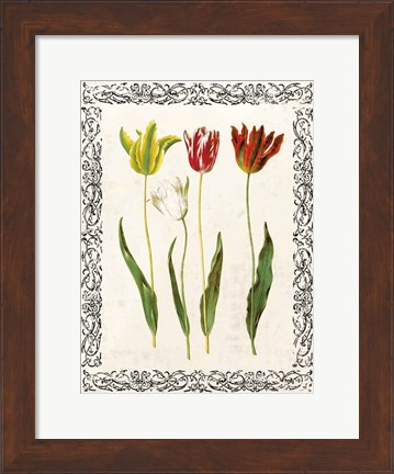 Framed Spring Blooms I Print