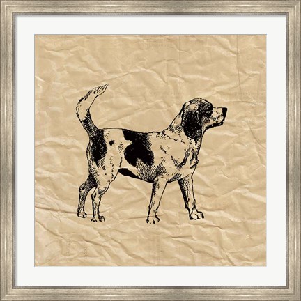 Framed Beagle Print