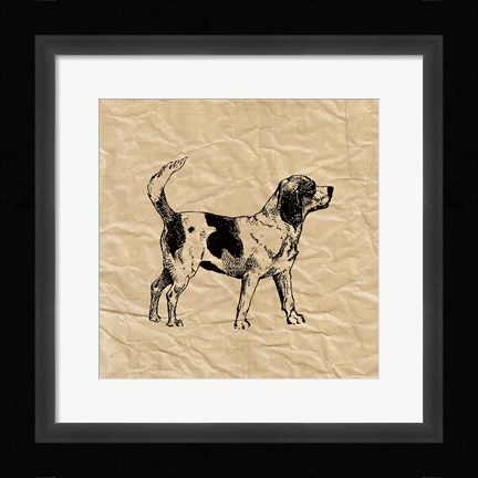 Framed Beagle Print