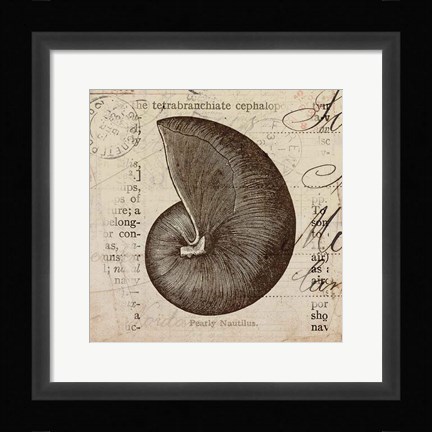 Framed Ocean Collection II Print