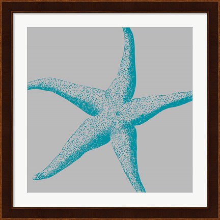 Framed Sea Stars II Print