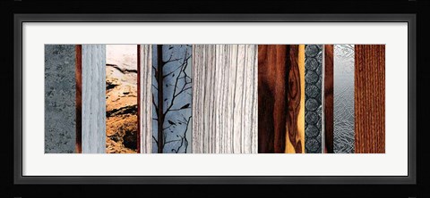 Framed Evolutions I Print