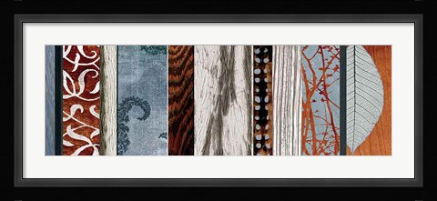 Framed Evolutions II Print