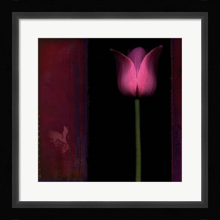 Framed Red Tulip I Print