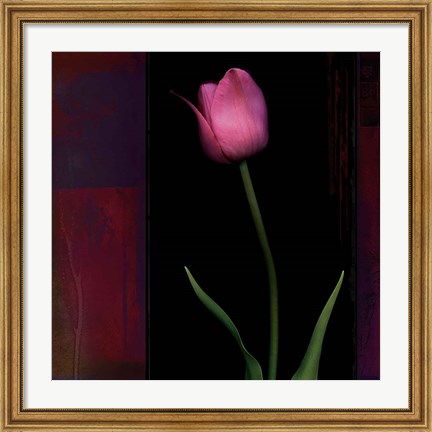 Framed Red Tulip II Print