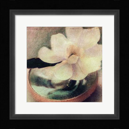 Framed Nature's Blossoms III Print