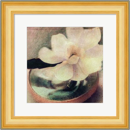 Framed Nature&#39;s Blossoms III Print