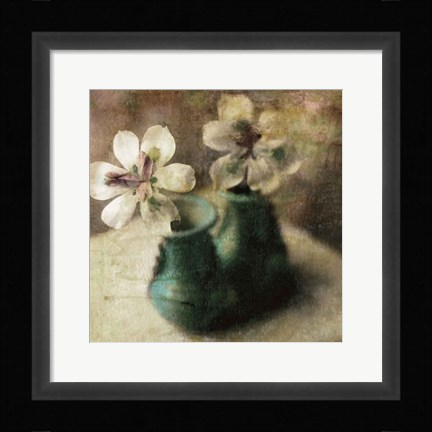 Framed Nature's Blossoms IV Print