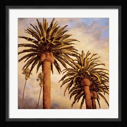 Framed Fog Over Canary Palms Print