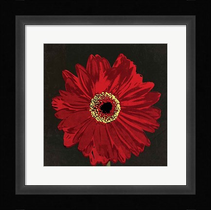Framed Midnight Gerbera III Print