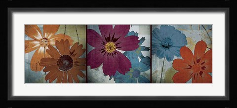 Framed In the Cosmos Print