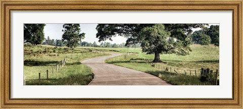 Framed Path to a Perfect Place Print