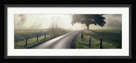 Framed Mountain Morning Glory Print