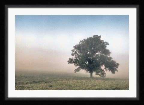 Framed Paradise Haze Print