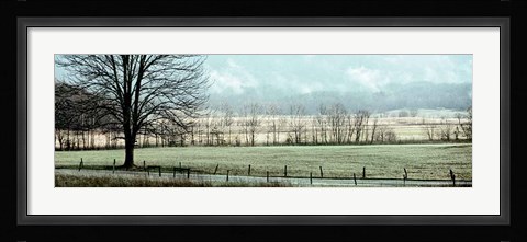 Framed Splendor Print