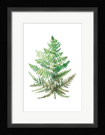 Framed Wild Greens I Print