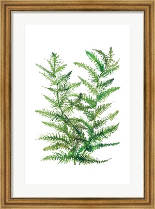 Framed Wild Greens II Print