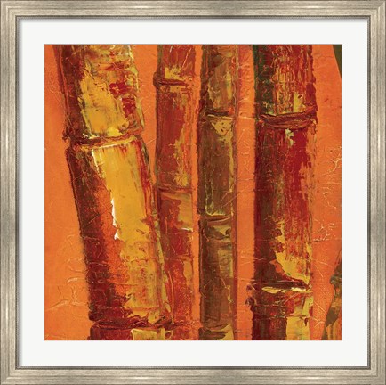 Framed Bamboo Columbia III Print