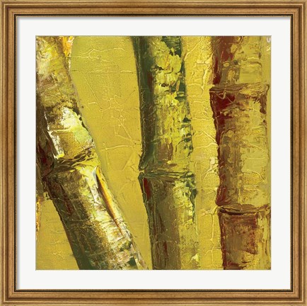 Framed Bamboo Columbia IV Print