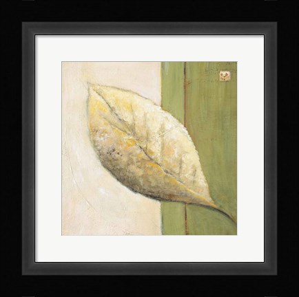 Framed Leaf Impression - Olive Print