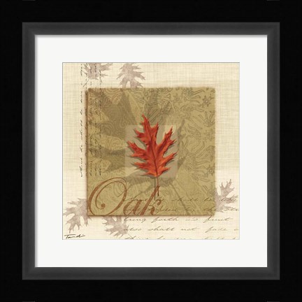 Framed Oak Print