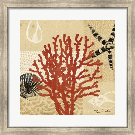 Framed Coral Impressions III Print